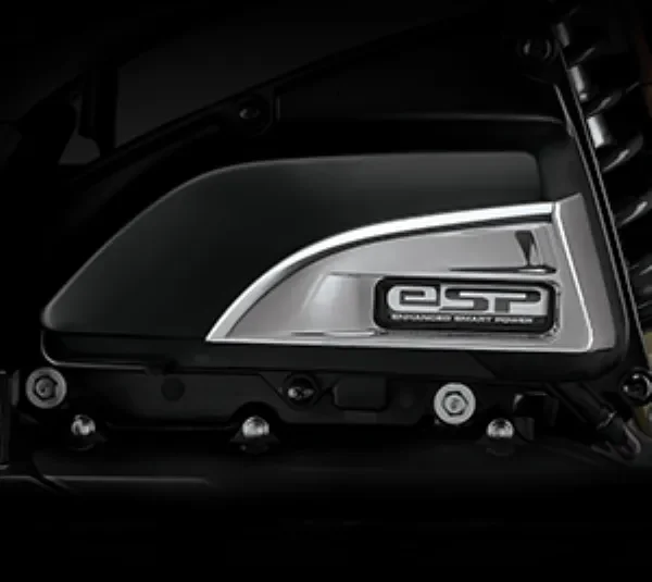 Scoopy Accessories