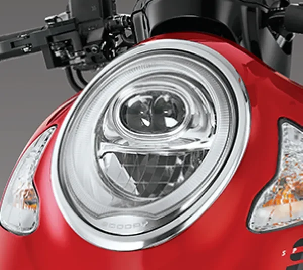 Scoopy Accessories
