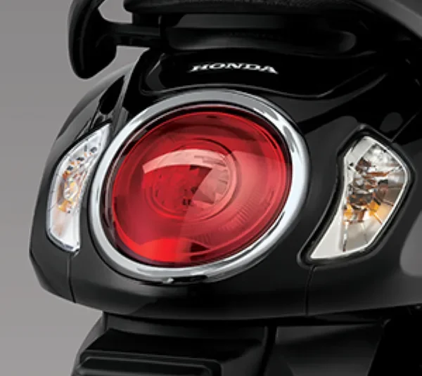 Scoopy Accessories