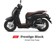 Scoopy Accessories